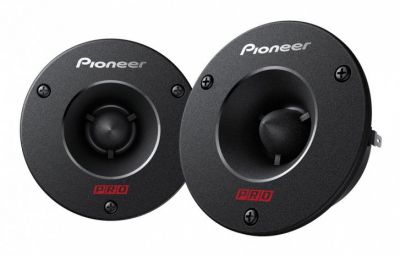Pioneer TS-B1010PRO, torvikaiutin