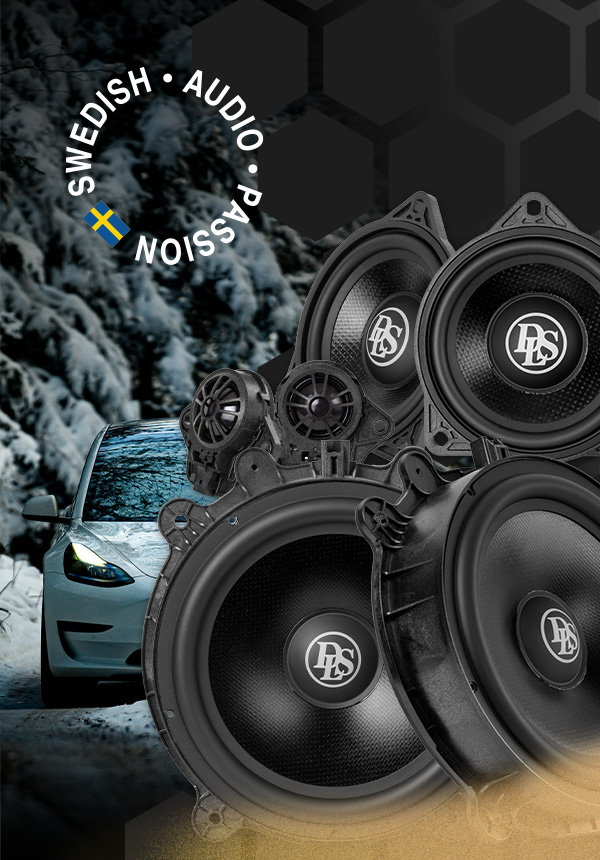 DLS Cruise til Tesla!