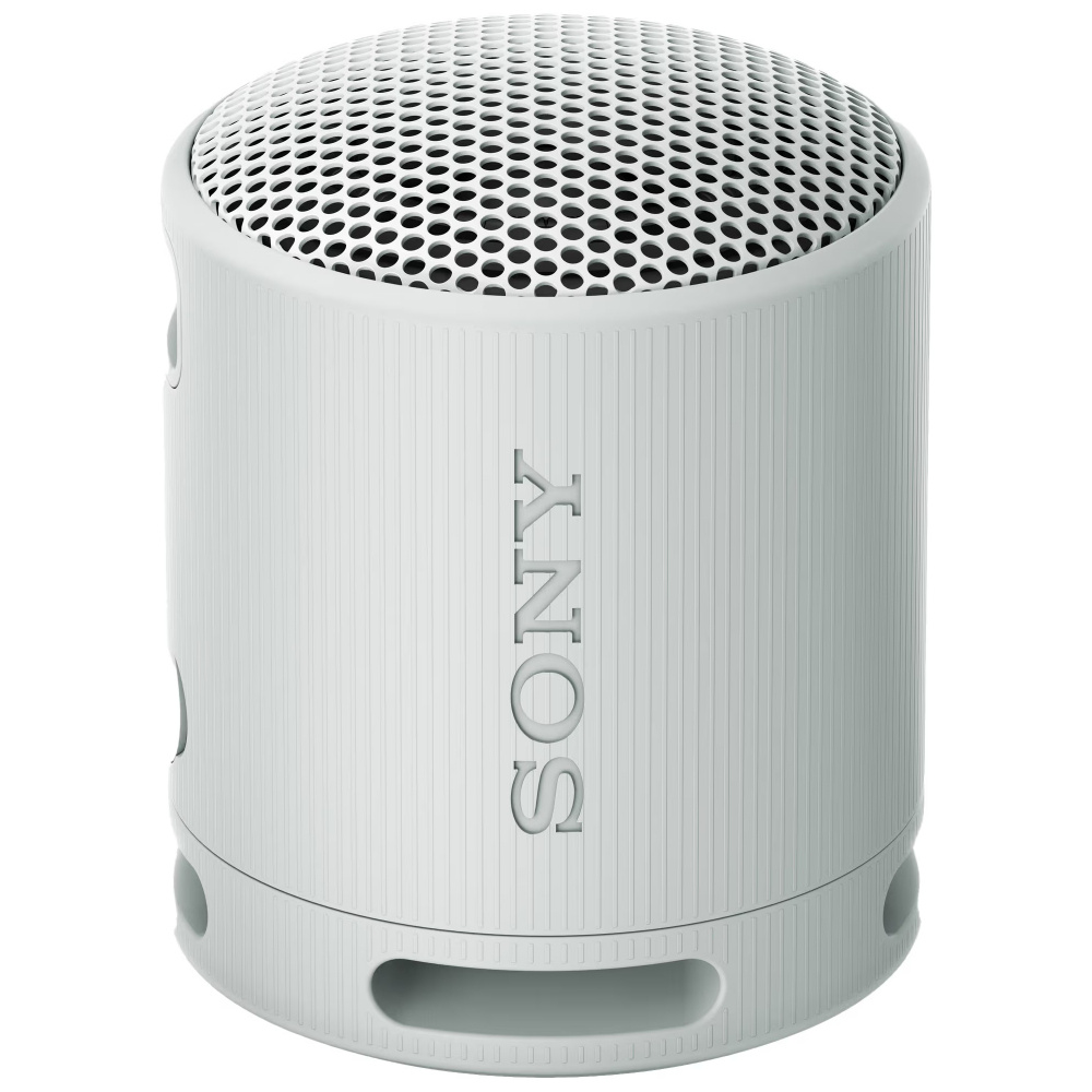 Sony SRS-XB100, kannettava kaiutin, harmaa