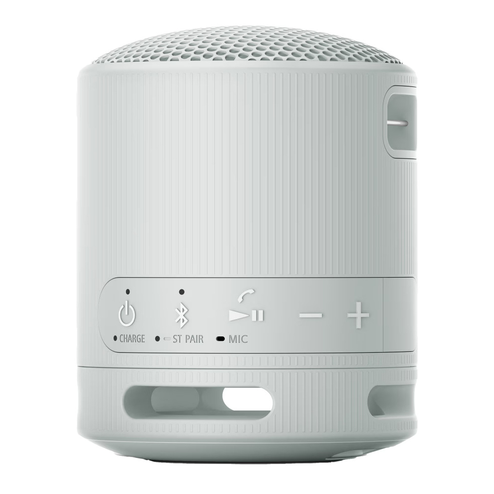 Sony SRS-XB100, kannettava kaiutin, harmaa