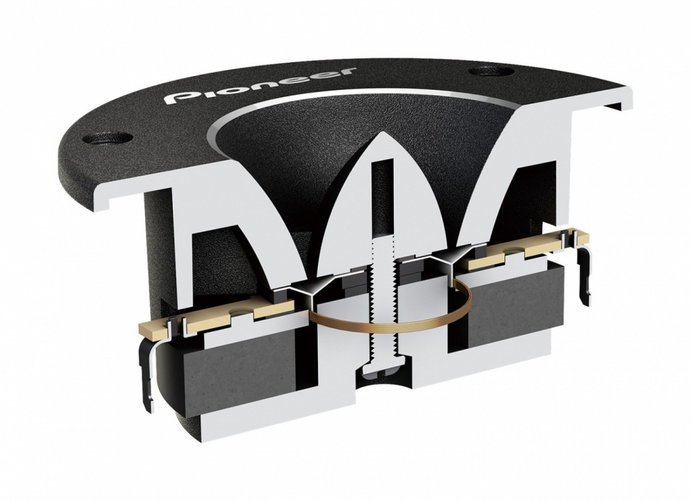 Pioneer TS-B1010PRO, torvikaiutin	