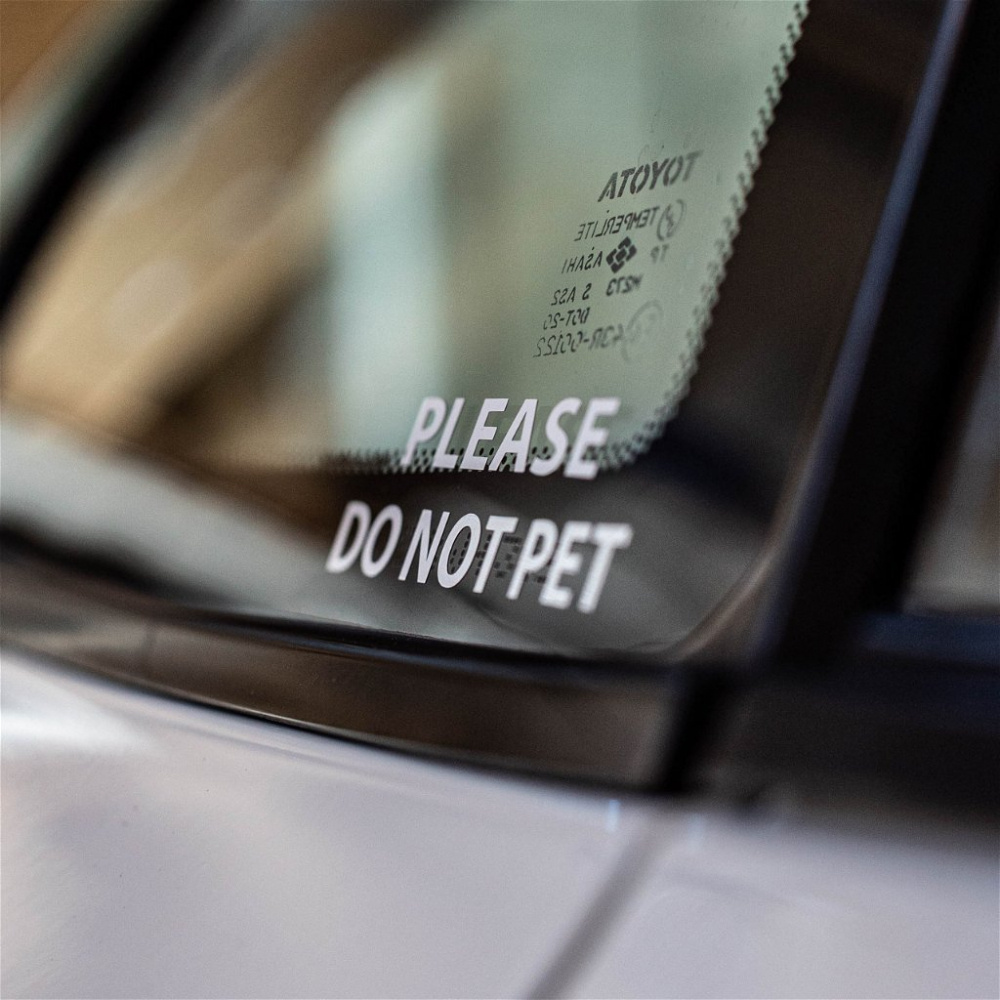 Tershine Dekal - Please Do Not Pet, musta