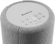 Audio Pro A10 MKII aktiv Wifi-högtalare, ljusgrå styck Audio Pro A10 MKII aktiv Wifi-högtalare, ljusgrå styck