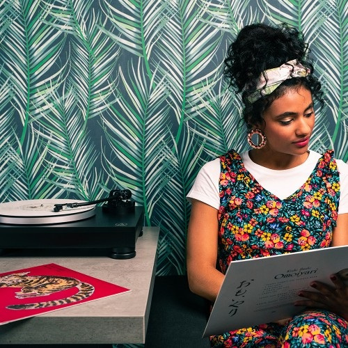 Audio Technica AT-LP5X med förmonterad AT-VM95E-pickup