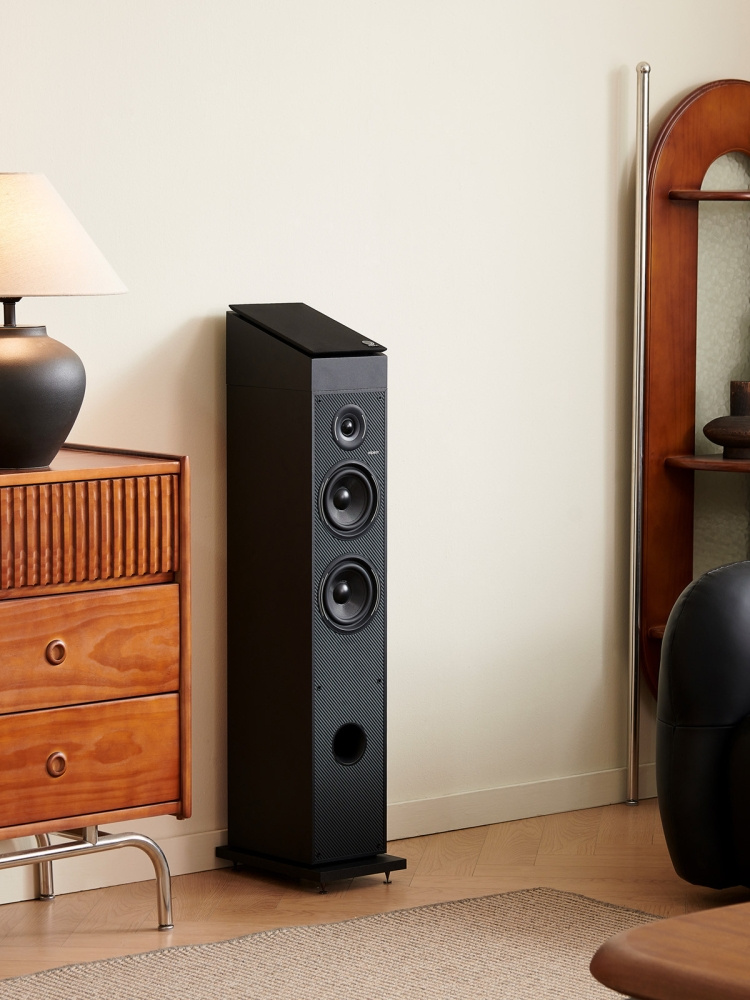 Elipson Horus 6ATM Light Black/Carbon, pari