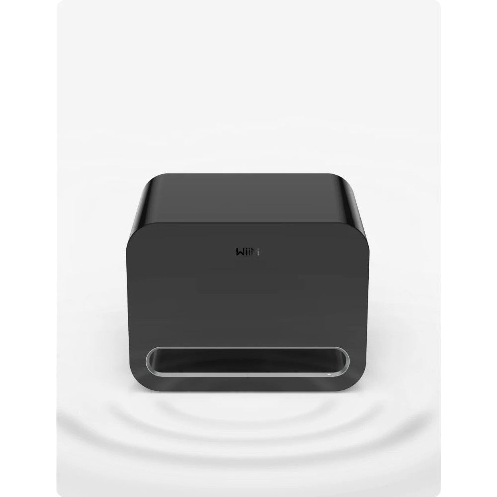 WiiM Sub Pro kompakti langaton subwoofer, musta