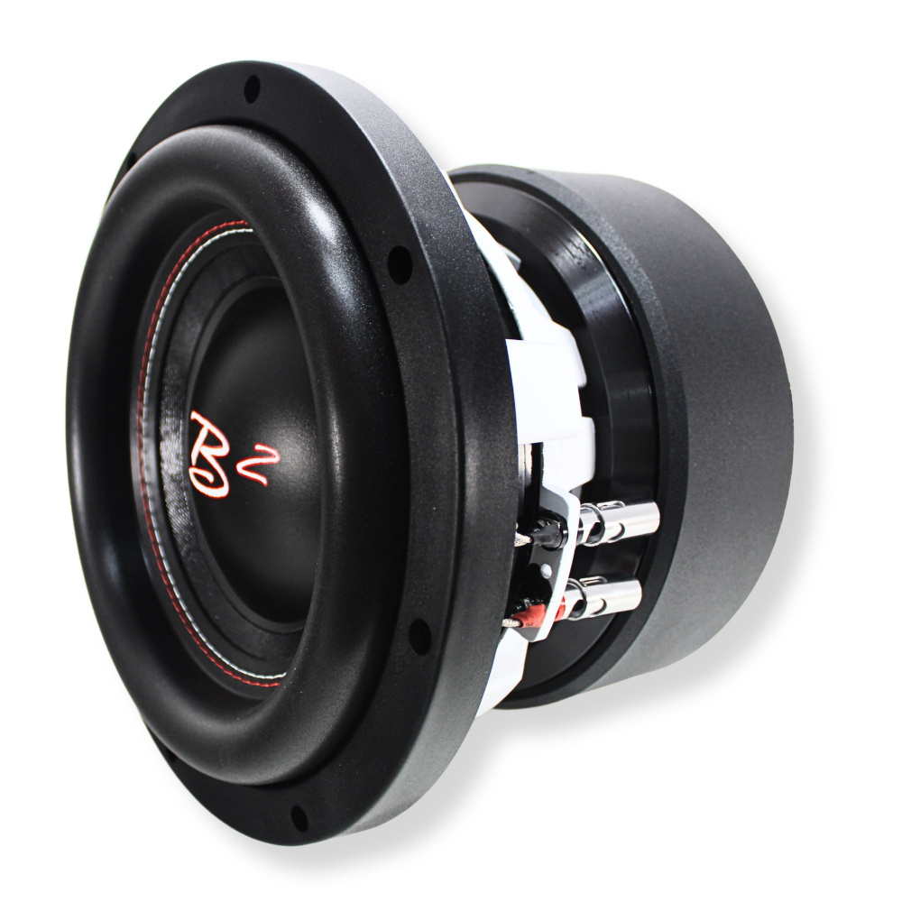 B² Audio RAGE XL10D1, 10