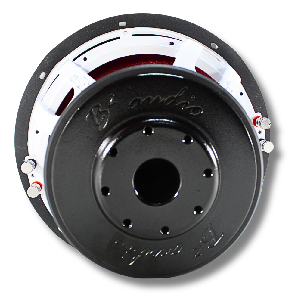 B2 AUDIO RIOT D2 V2, 12tum 2X2 OHM