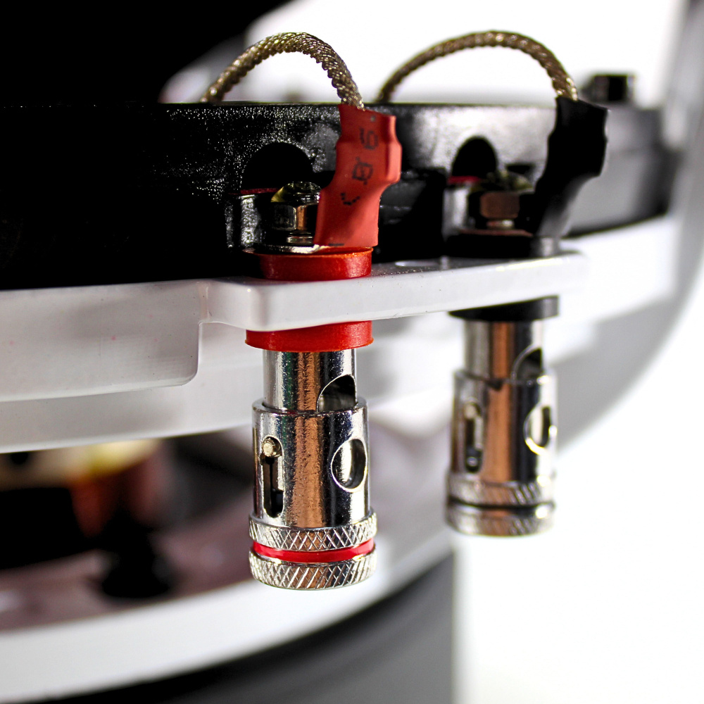 B2 AUDIO RIOT D4 V2, 2X4 Ohm 12-tums bas