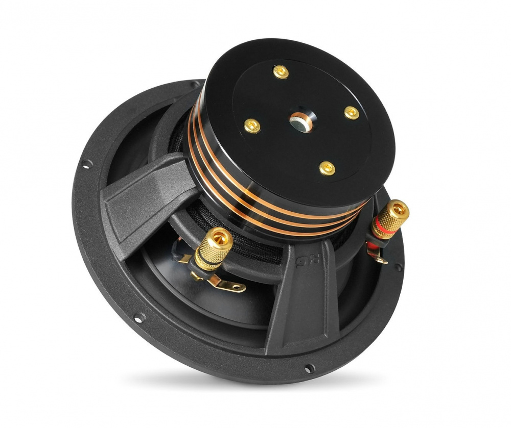 RG Sound Labs RG 6.1 Pro Speakers, 2-tie 6.5 tuuman järjestelmä