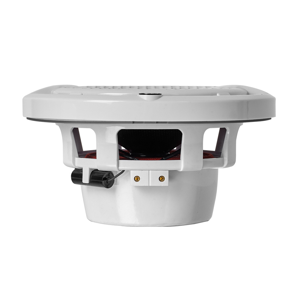 DLS Alive A6XW 6.5 tuuman merikohdekaiutin, valkoinen