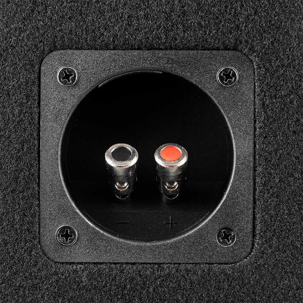 DS18 GEN-X210LD, portattu 2x10 tuuman subwoofer kotelo