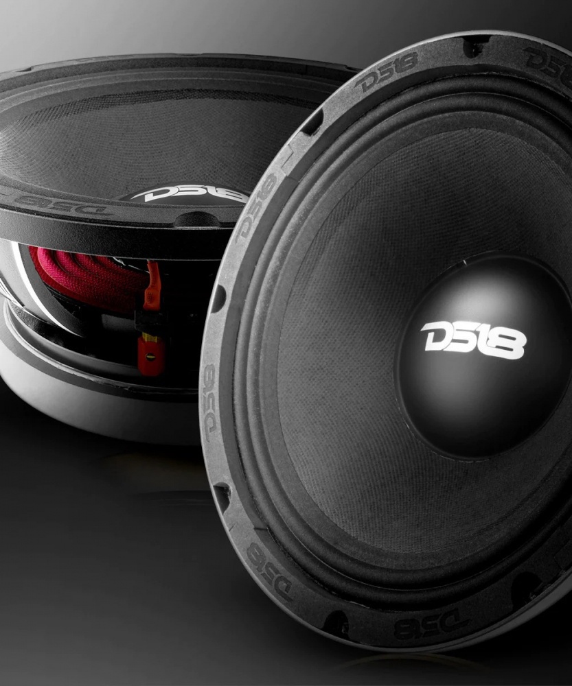 DS18 PRO-FU10.4, raskas 10 tuuman keskiäänikohdistin, kappale