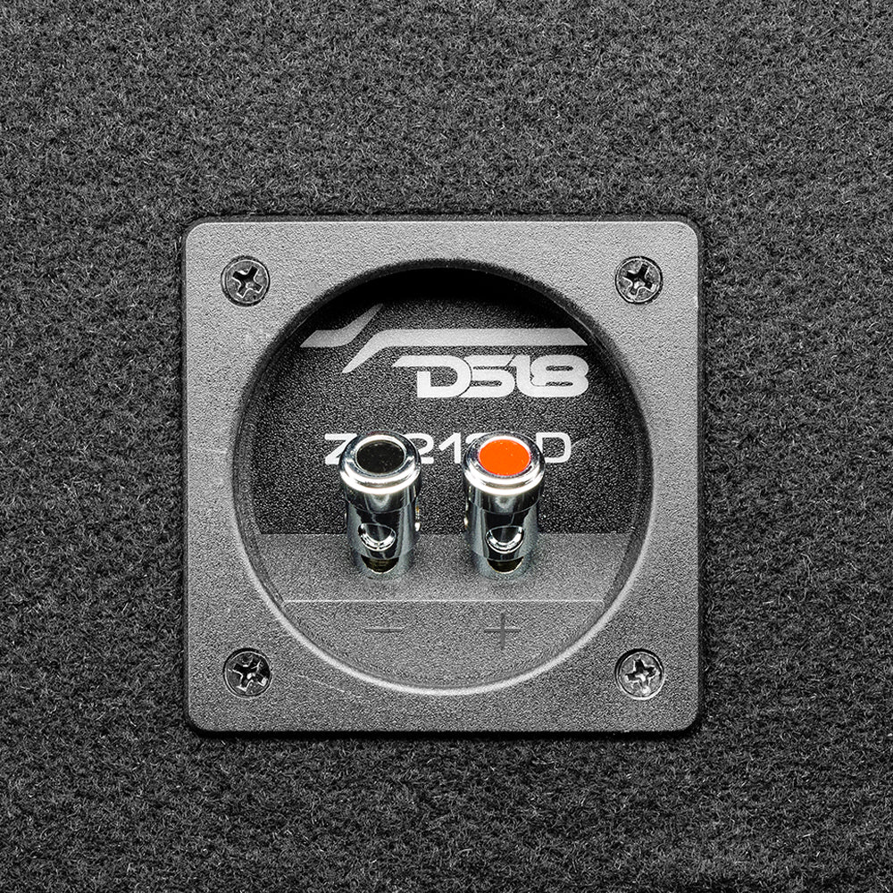 DS18 ZR212LD, portattu 2x12 tuuman bassokaiutin