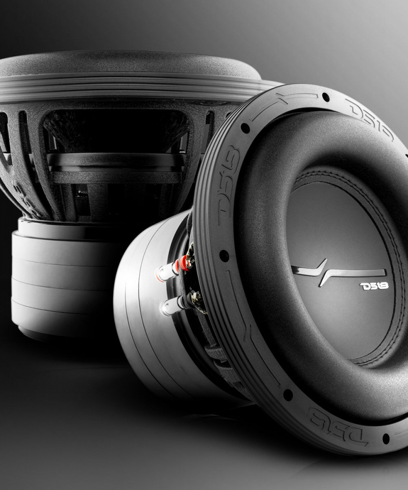 DS18 ZXI10.2D, pitkäiskulainen 10 tuuman bassokaiutin