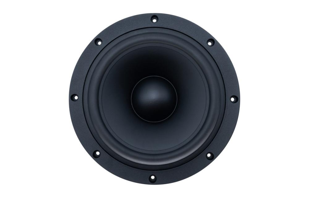 SB Acoustics SB29NRX-00, 10 tuuman passiivisäteilijä