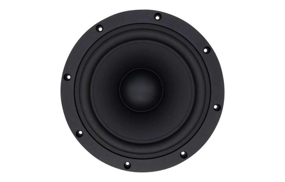 SB Acoustics SB29NRX75-6, 10 tuuman bassoelementti