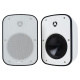 Dayton Audio IO65XP, aktiiviset 6.5 tuuman ulkokaiuttimet, valkoinen pari Dayton Audio IO65XP, aktiiviset 6.5 tuuman ulkokaiuttimet, valkoinen pari