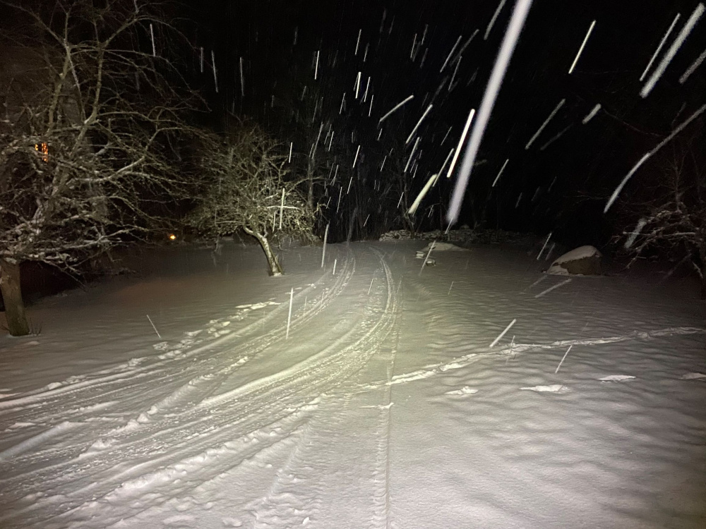 Nizled LED Pannlampa/Ficklampa, 10W