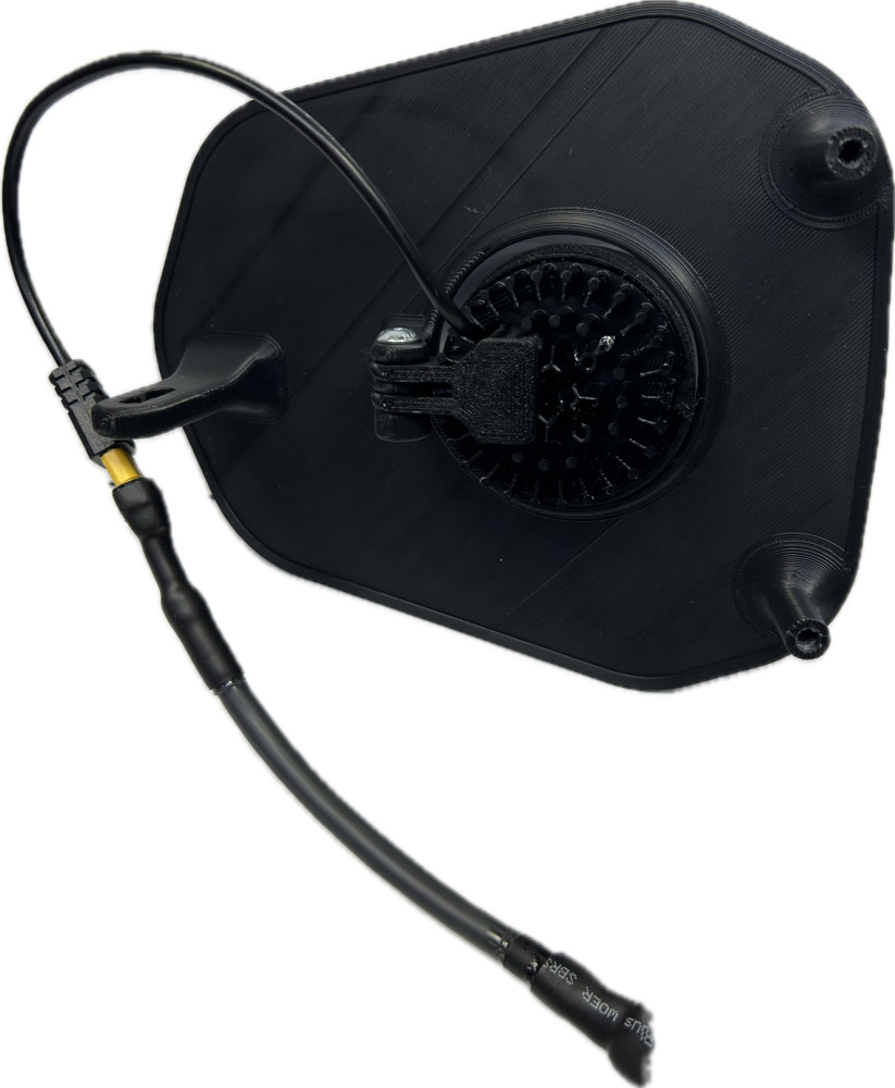 Singelljus kallvit 50w Triumph 2024-, vit dekal, 1xE406k NIZLED