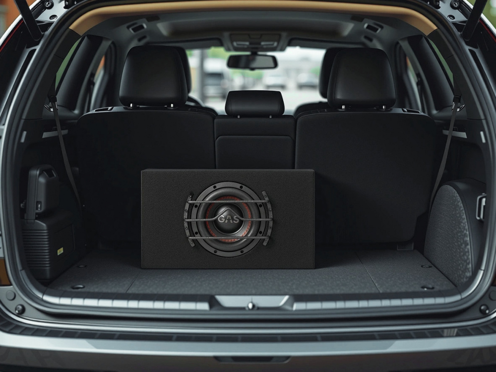 GAS MAX B1-18E, todella raskas 1x8 tuuman bassokotelo