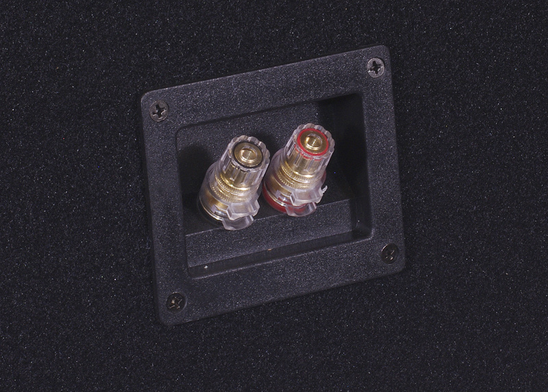 GAS GV212 2x12 tum låda