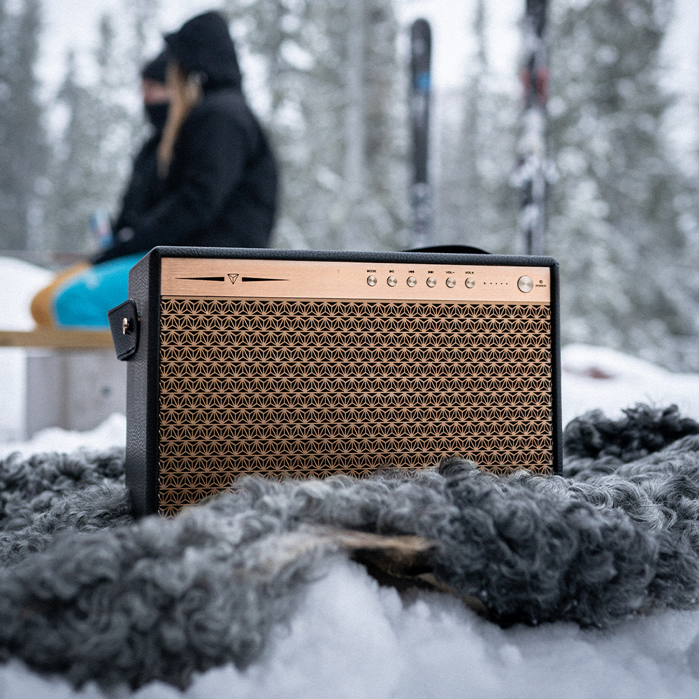 Dynavoice Classic CL-15A, Bluetooth-högtalare