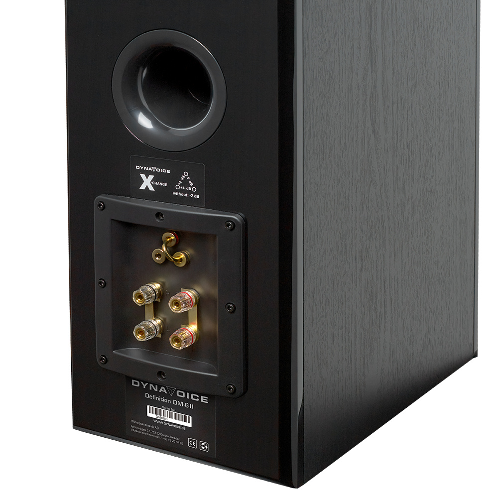 Dynavoice Definition DM-6II jalustakaiutin, musta