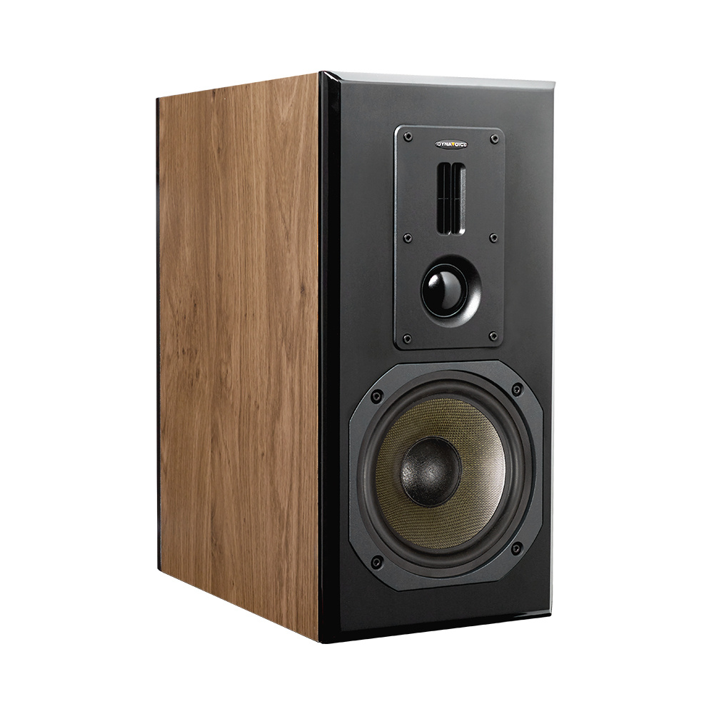 Dynavoice Definition DM-6II jalustakaiutin, tammi