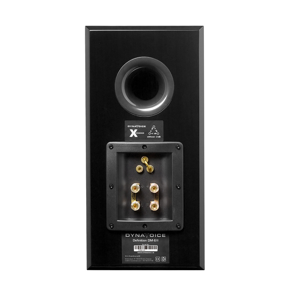 Dynavoice Definition DM-6II jalustakaiutin, tammi