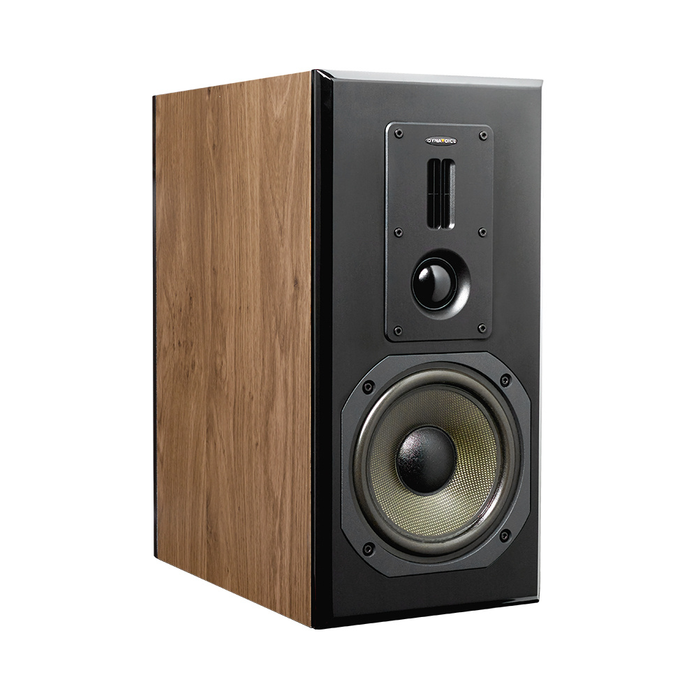 Dynavoice Definition DM-6 Stativhögtalare, ek par