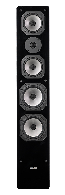 Dynavoice Challenger M-65 EX v4 -lattiakaiuttimet, tammi pari