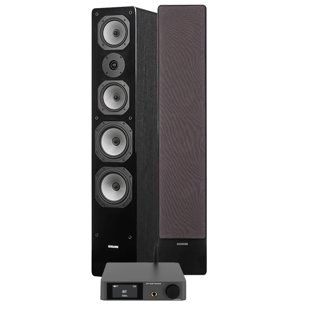 Dynavoice CA802BT & Challenger M-65, stereopaket