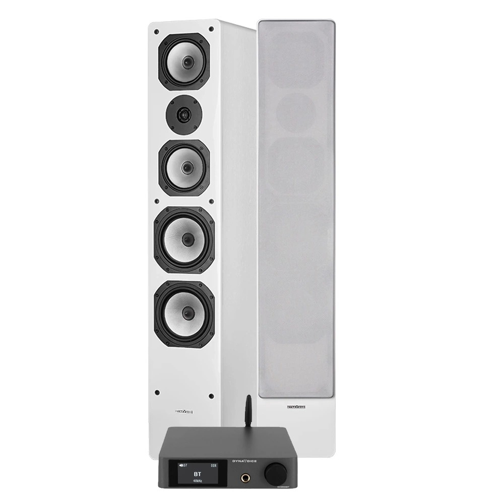 Dynavoice CA802BT & Challenger M-65, stereopaket