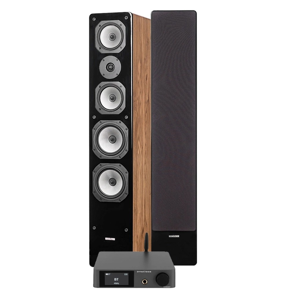 Dynavoice CA802BT & Challenger M-65, stereopaket