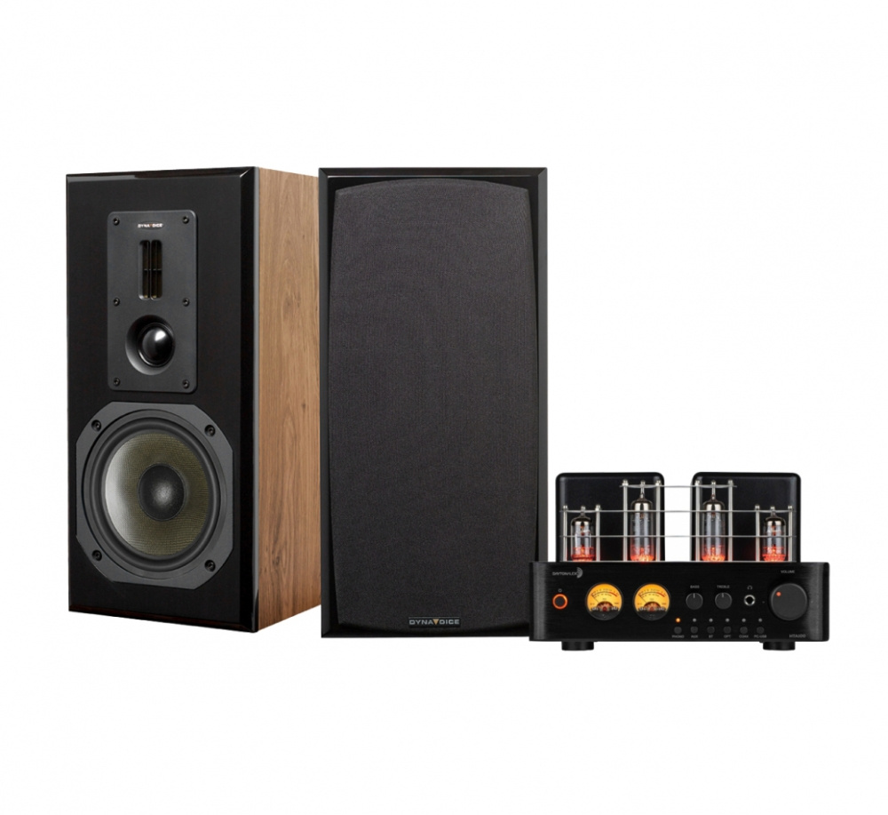 Dayton Audio HTA100 & Dynavoice DM-6II tammessa, stereopaketti