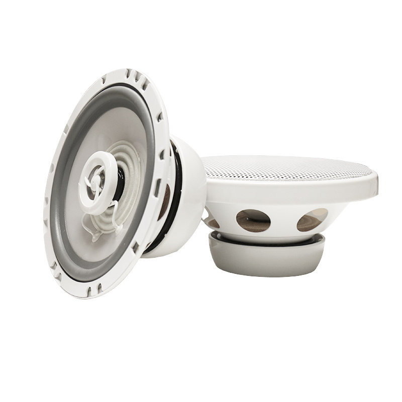 DS18 MRX1 ja 2 par GAS MS62, meripaketti