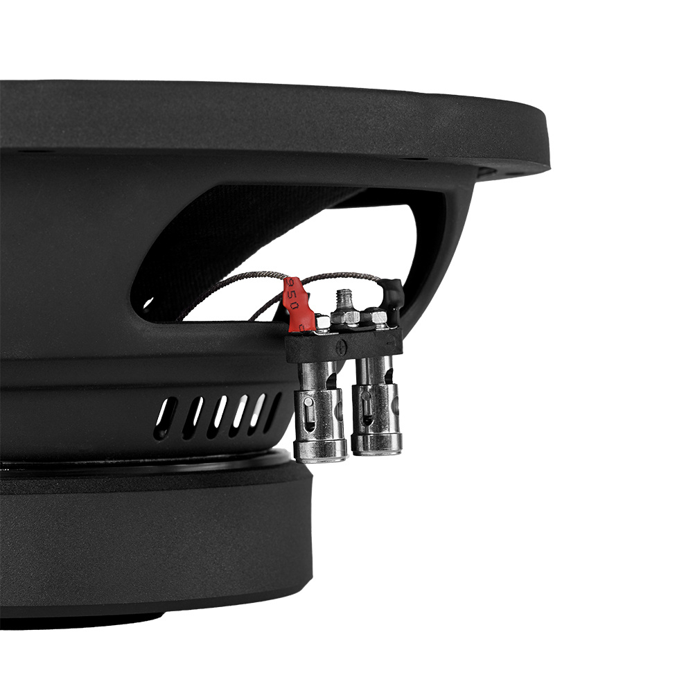 2-pakkaus DLS Performance PE10.D2, 10 tuuman basso