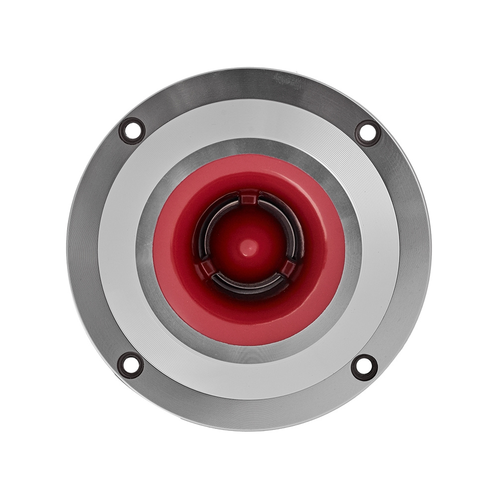 Bass Habit PL212A Rebel-raggar-laudan ja vahvistimen kanssa