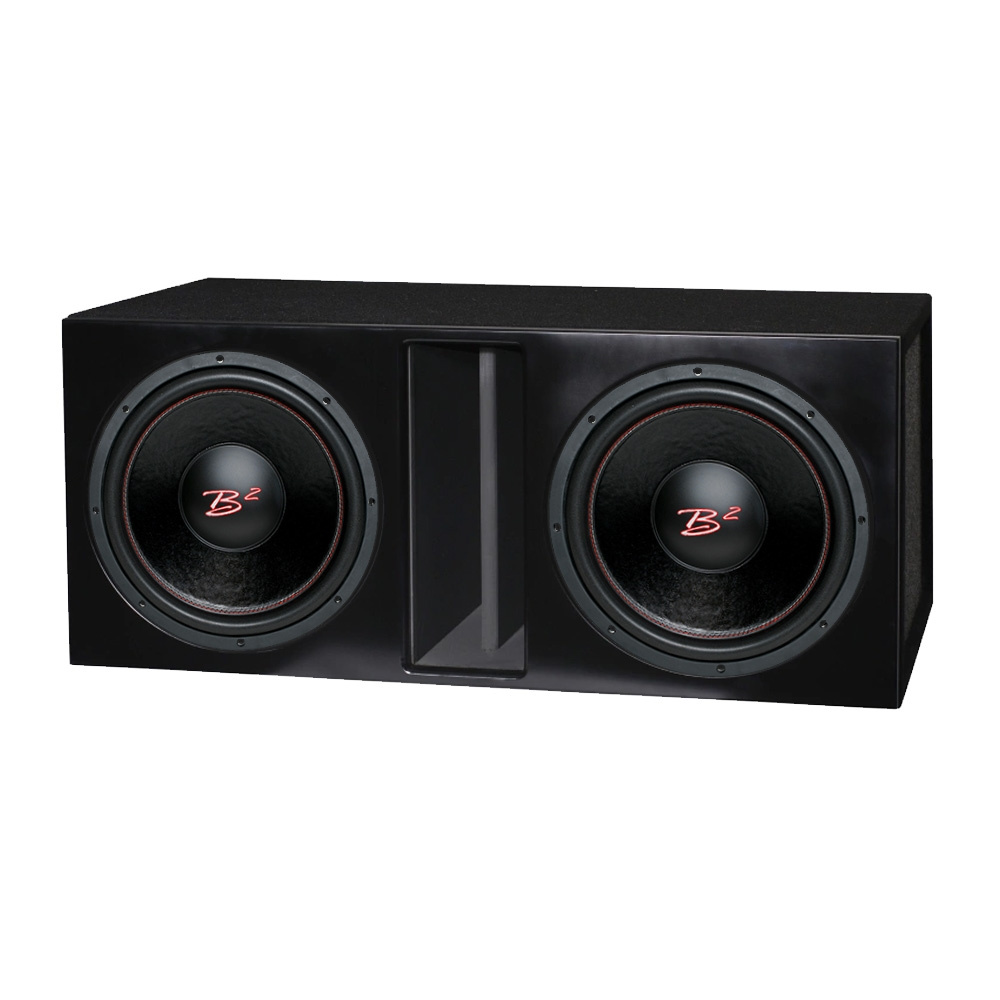 Portattu 2x12 tuuman bassolaatikko, jossa 2 kpl B2 RIOT 12 D2 V2