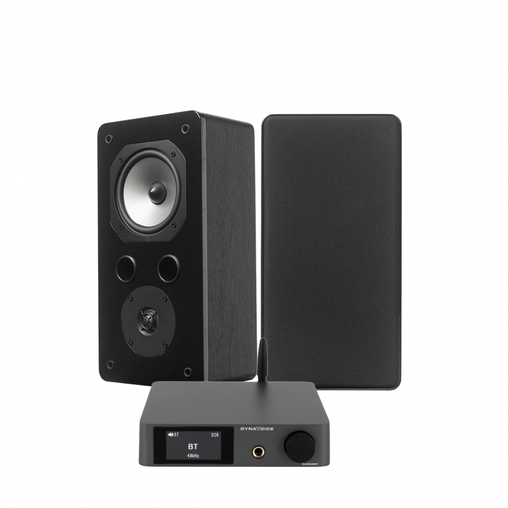 Dynavoice CA802BT & Challenger S-5S, stereopaket