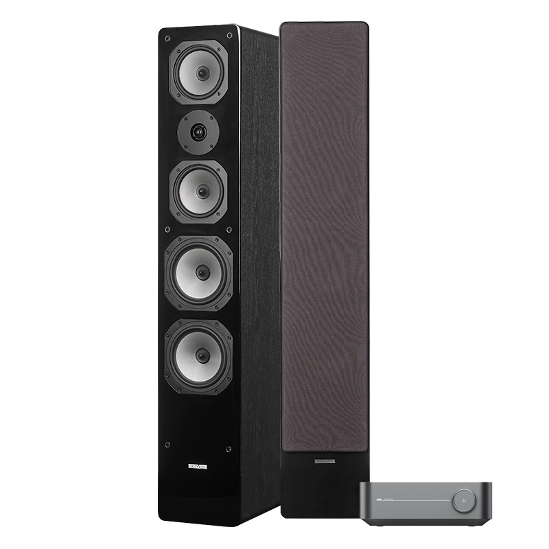 WiiM Amp & Dynavoice Challenger M-65, stereopaketti