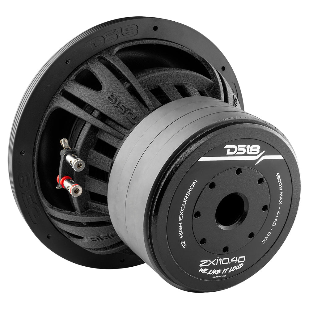 2-pack DS18 ZXI10.4D, pitkäiskuiset 10 tuuman bassokaiuttimet