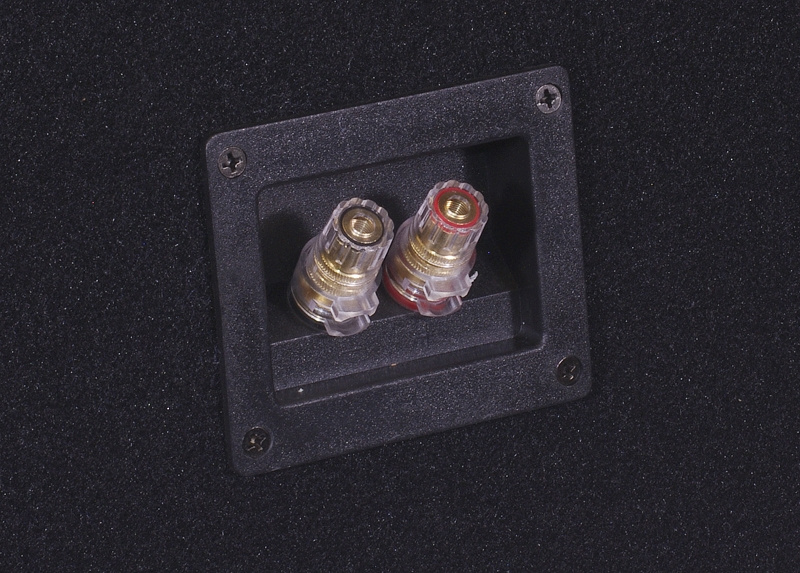 2-pack DS18 ZXI12.4D laatikossa vahvistimen kanssa, bassopaketti